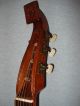 Antique D´orsoy Guitarlute String photo 9