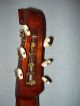 Antique D´orsoy Guitarlute String photo 10