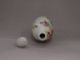 Rare Chinese Porcelain Snuff Bottle Other photo 3