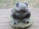 Neat Vintage Weathered & Old Frog Garden Statue Yard Ornament Great Patina Garden photo 4