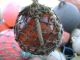 Rare Knob Marked 4+1/2 Inch Tall Nw Glass Company Glass Float Amber Ball (401) Fishing Nets & Floats photo 5