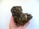 Gorgeous Antique Bronze Lion Statuette/applique Metalware photo 1