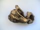 Gorgeous Antique Bronze Lion Statuette/applique Metalware photo 3