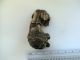 Gorgeous Antique Bronze Lion Statuette/applique Metalware photo 5