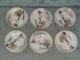 Japanese Porcelain Plates/saucers (kutani) Plates photo 1