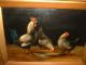 Very Old Oil Painting,  { Rooster & Chickens,  Signed,  M.  Hondecoeter} Is Antique Other photo 3