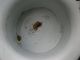 Antique & Very Shabby Child ' S Enamel Potty W/soldier Marching Czechoslovakia Primitives photo 4