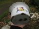 Antique & Very Shabby Child ' S Enamel Potty W/soldier Marching Czechoslovakia Primitives photo 7