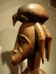 Collectable / Old Senufo Ancestor Figure,  Drc Sculptures & Statues photo 11