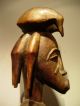 Collectable / Old Senufo Ancestor Figure,  Drc Sculptures & Statues photo 6