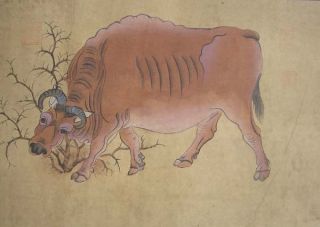 Oriental Chinese Antique Animals Painting Art Five Moo - Cows photo