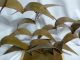 Hand Made Steel Flocking Birds Sculpture Abstract Freestanding Steel Base Wall Metalware photo 1