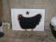 Primitive Chicken Wooden Plaque Sign /wall Hanging Terrye French Design Folk Art Primitives photo 1