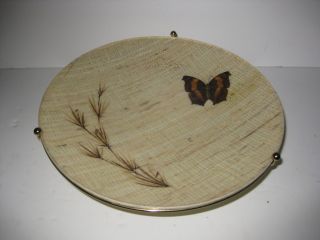 Vintage Butterfly Bowl: Mid Century: Fiberglass Bowl Mounted To Raised Wire Base photo