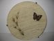 Vintage Butterfly Bowl: Mid Century: Fiberglass Bowl Mounted To Raised Wire Base Mid-Century Modernism photo 1