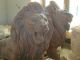 Solid 100% Natural Marble Block Hand Carved Estate Life Size Lion Pair Statues Other photo 1