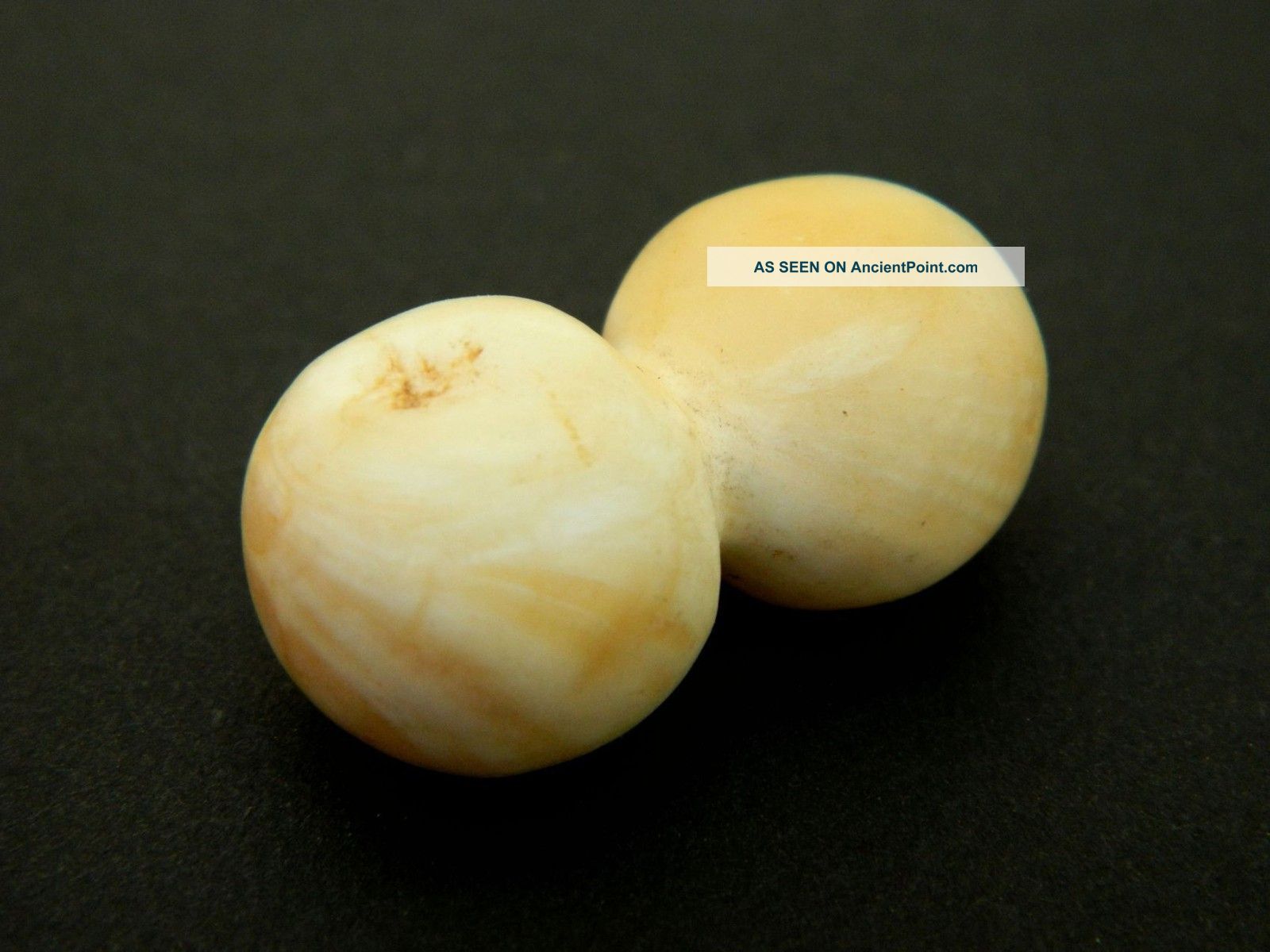 Neolithic Neolithique Anadara Shell Fibula / Bead - 6500 To 2000 Bp - Sahara Neolithic & Paleolithic photo