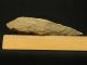 Big Lower Paleolithic Quartzite Hand Axe - 22 Cm - 700000 To 100000 Bp - Sahara Neolithic & Paleolithic photo 4