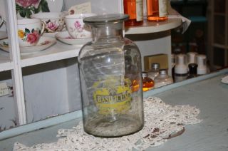Glass Apothecary Jar Basilicum Clean Yellow Letters Birds Urn Angel Bust photo