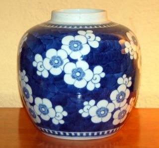 Antique 8 1/2 - Inch Chinese Blue And White Hawthorn Ginger Jar Qing photo