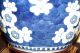 Antique 8 1/2 - Inch Chinese Blue And White Hawthorn Ginger Jar Qing Pots photo 5