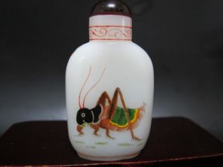 Fine Glass Carved Snuff Bottles photo