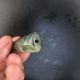 100% Natural And Nephrite Carved Pipe - Dragon Other photo 4