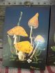 Of 2 Vintage Retro Tole Paintings Mushrooms & Strawberries Wall Hanging Wood Toleware photo 2