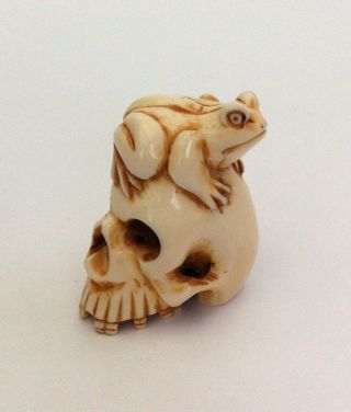 Antique Japanese Netsuke Human Skull And Frog Hand Carved Artist Signed Unique photo