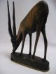 Old African Wood Carving Of A Gazelle - Marked: 