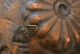 Rare Hand Beaten Arts & Crafts Copper Charger Wall Plaque E Casagrande Italy Arts & Crafts Movement photo 4