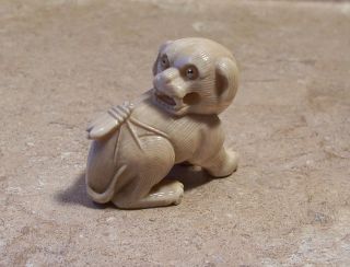 A Finely Carved & Signed Japanese Netsuke Faux Ivory Dog & Beetle Figurine Bug photo