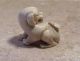 A Finely Carved & Signed Japanese Netsuke Faux Ivory Dog & Beetle Figurine Bug Netsuke photo 3