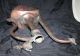 Islamic Antique Persian Copper Pitcher Aftebe Iran Persia Circa 19th Century Metalware photo 1