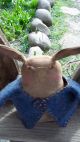 Very Prim And Folky Stump Spring Thyme Bunny Blue Wool Felt Jacket Pfatt Primitives photo 6