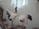 Asian Chinese Oriential 3 - D 3d Bird Pictures Japanese China Asian Wall Art Other photo 1