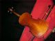 Antique 1800 ' S Violin By Friedrich August Glass Germany Full Size - 4/4 String photo 1