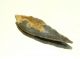Neolithic Neolithique Flint Arrowhead - 6500 To 2000 Before Present - Sahara Neolithic & Paleolithic photo 2