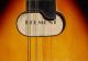 American 8 Stringed Belmont Mandolin Guitar Never V.  Working Musical Instruments (Pre-1930) photo 2