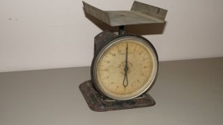 Antique 0 To 16 Ounces John Chatillon & Sons Household Mercantile Weigh Scale photo