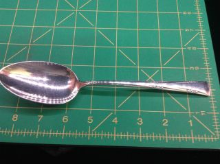 1 Gorham Greenbrier Sterling Silver Large Serving Spoon 8 - 1/2 Inch 76 Grams photo