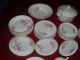 Vtg Ws George 56 Pc 1940 ' S Peach Blossom Pink Bolero Dish Cups & Saucers photo 1