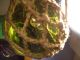 5 Inch Rare Dark Green Made In Czechoslovakia European Glass Float Ball (363) Fishing Nets & Floats photo 9
