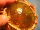 5 Inch Rare Honey Yellow Made In Czechoslovakia European Glass Float Ball (363) Fishing Nets & Floats photo 1