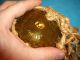 5 Inch Rare Honey Yellow Made In Czechoslovakia European Glass Float Ball (363) Fishing Nets & Floats photo 8