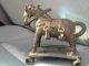Antique Bronze Indu Horse Asian India India photo 2