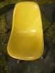 Lemon Yellow Eames Herman Miller Shell Fiberglass Desk Chair Oncasters 1960s - 70s Mid-Century Modernism photo 2