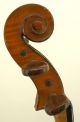 Excellent Antique French Violin - J.  Didelot C.  1925 Big,  Tone String photo 4