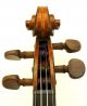 Excellent Antique French Violin - J.  Didelot C.  1925 Big,  Tone String photo 5