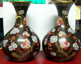 Pair Of Cloissonne Vases/10 